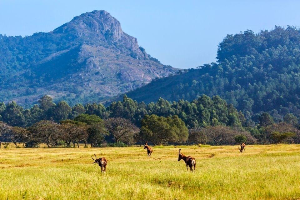 Mlilwane National Park Zuid-Afrika