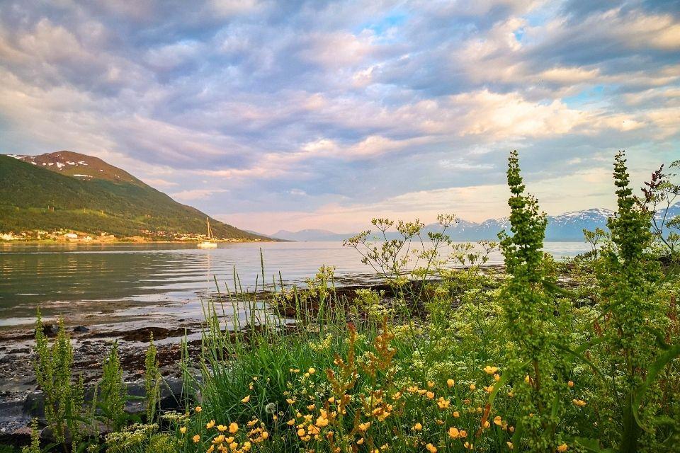 Het kustlandschap bij Tromsø Noorwegen
