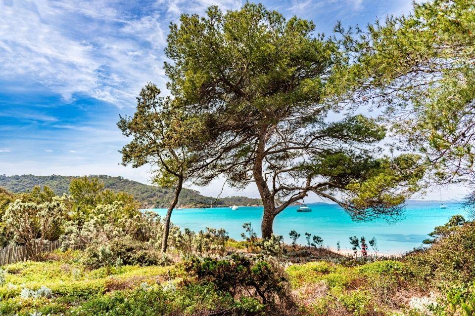  Île de Porquerolles Frankrijk