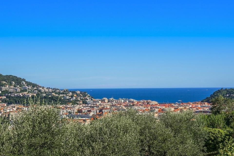 Olijfgaard van Cimiez met uitzicht op Nice, Frankrijk