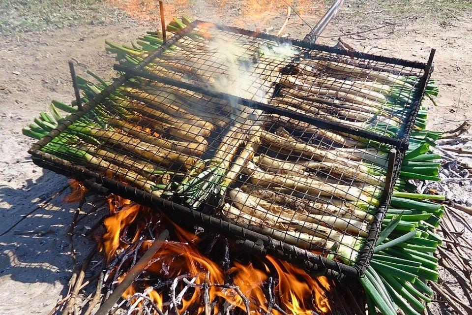 Calçots op het open vuur