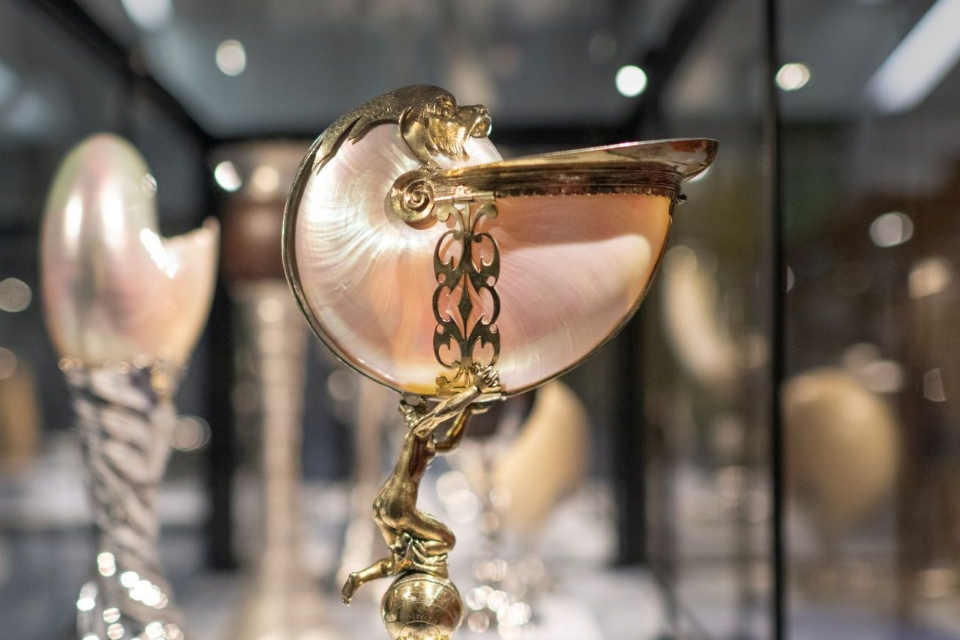 Microkomos, De wereld in een Wunderkammer