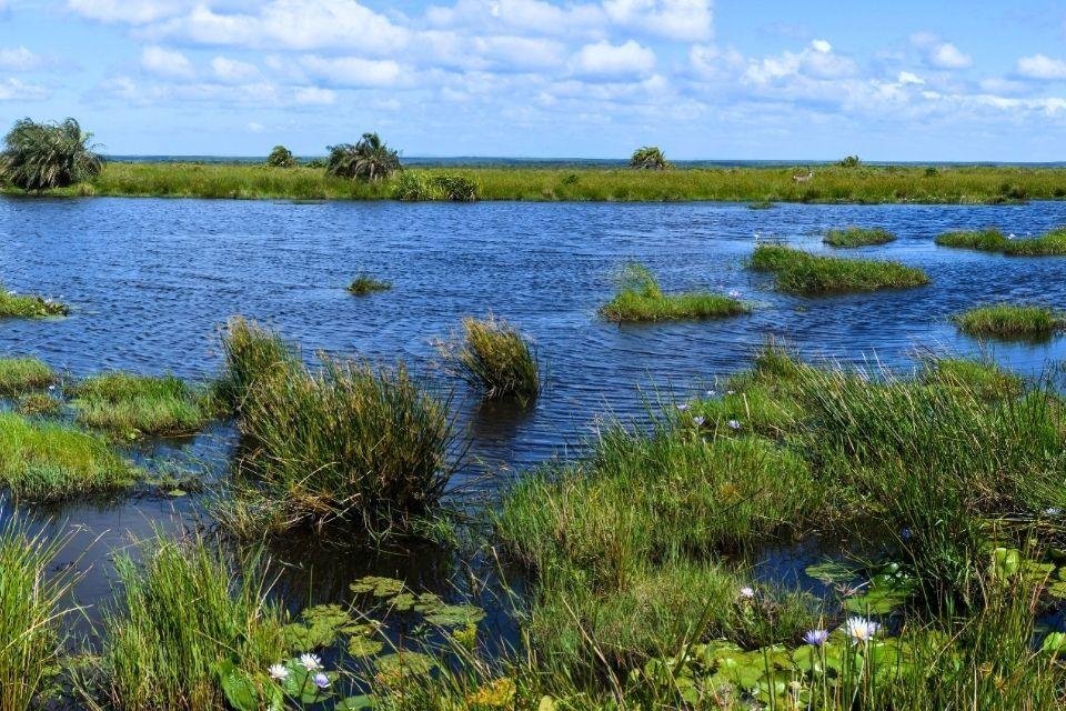iSimangaliso Wetland Park Zuid-Afrika