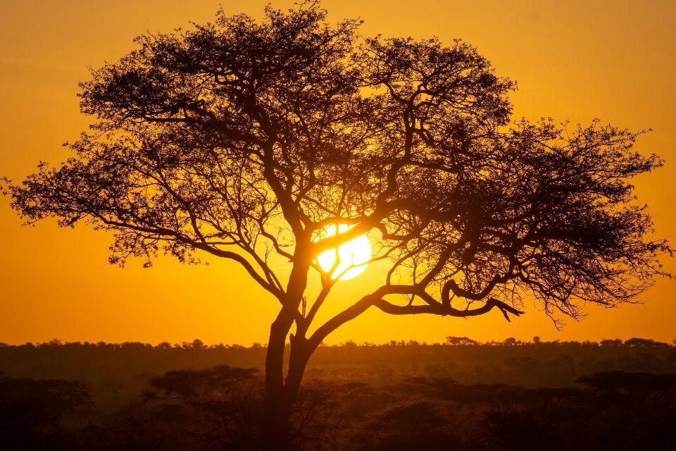 Zonsondergang in Arusha National Park