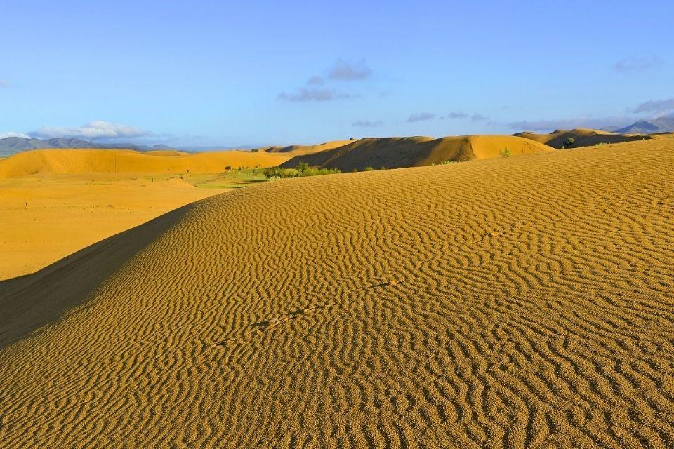 Elsen Tasarkhai, ook wel Kleine Gobi-woestijn Mongolië