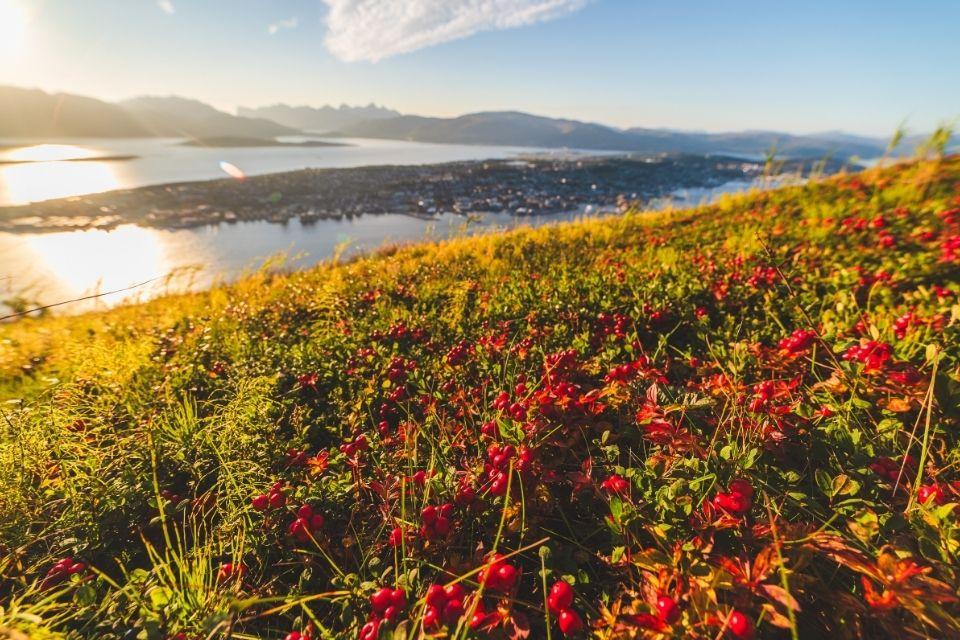 Zicht op Tromsø en het fjordenlandschap Noorwegen