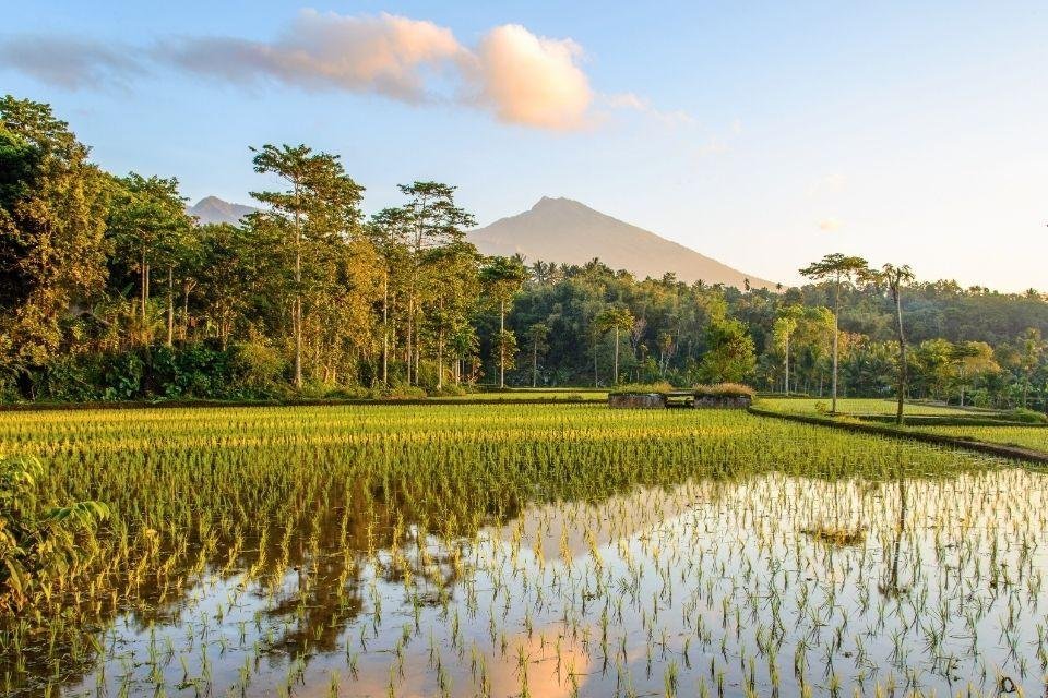 Tetebatu Lombok Indonesië
