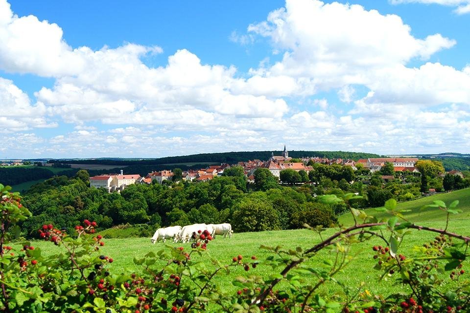 Flavigny-sur-Ozerain, Frankrijk