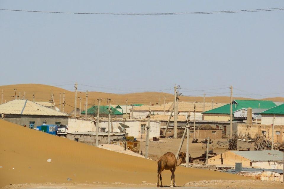 Karakumwoestijn bij Yerbent, Turkmenistan