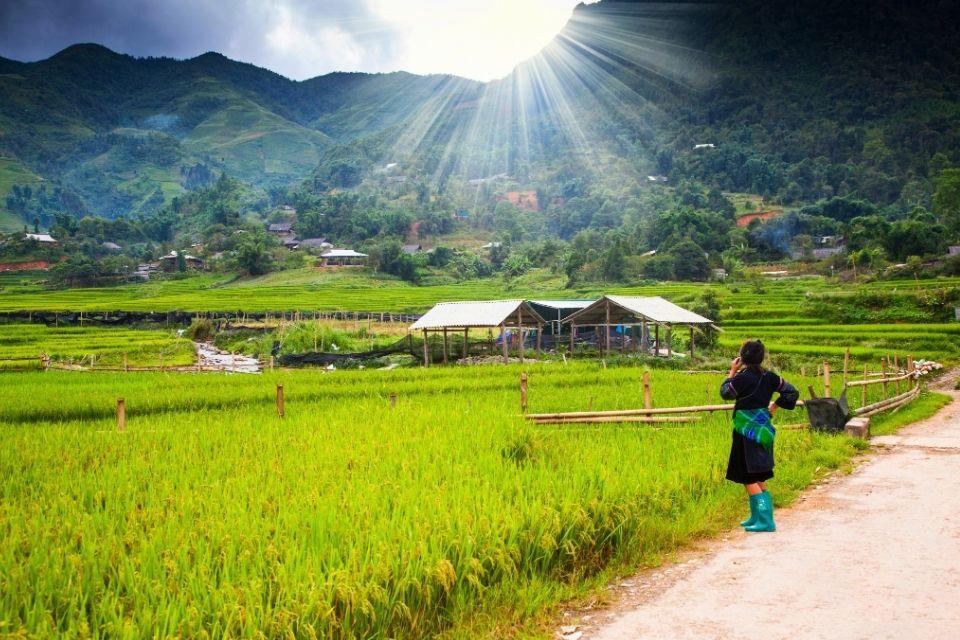 Rijstvelden rond het dorpje Ta Phin Vietnam