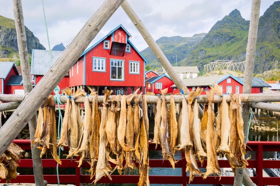 Stokvis Lofoten Noorwegen