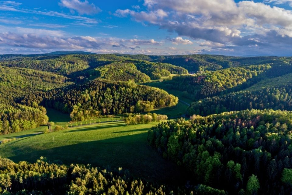 Thüringer Wald in Duitsland