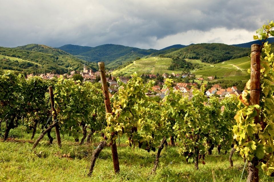 Elzas, Frankrijk