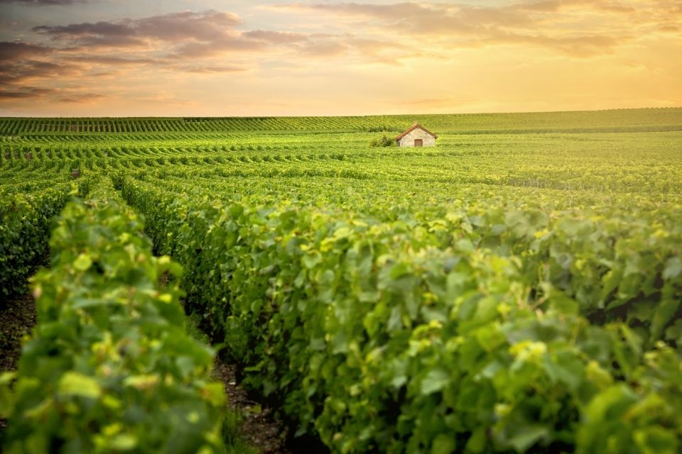 Champagnestreek, Frankrijk