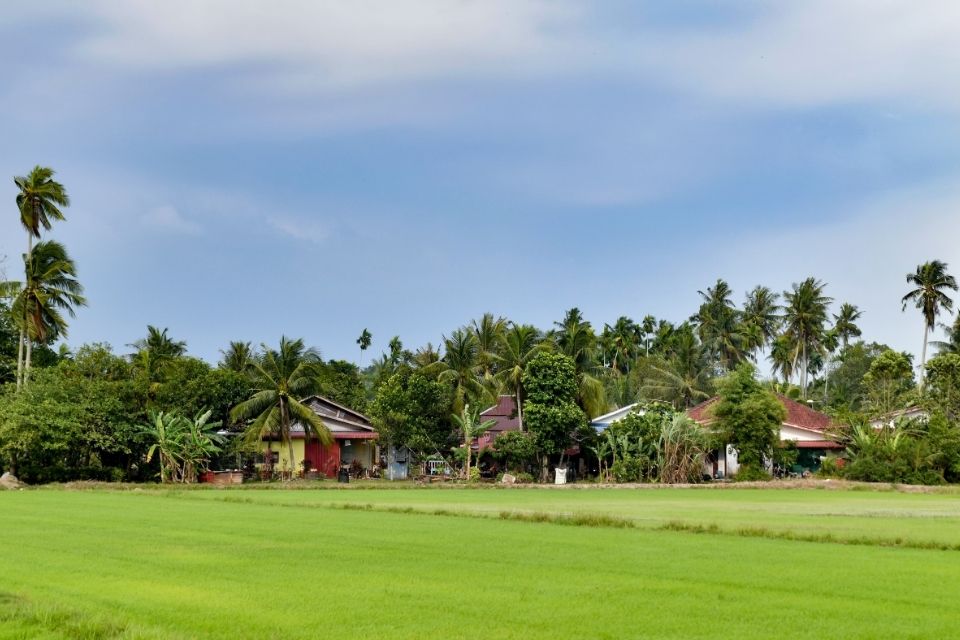 Huizen in Balik Pulau, Maleisië
