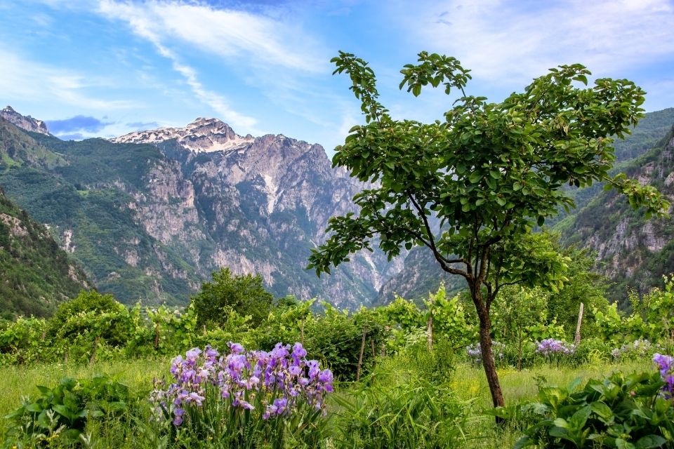 Valbona Albanese Alpen Albanië