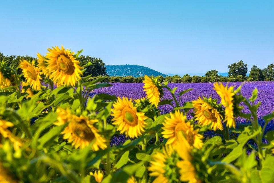 De Provence, Frankrijk