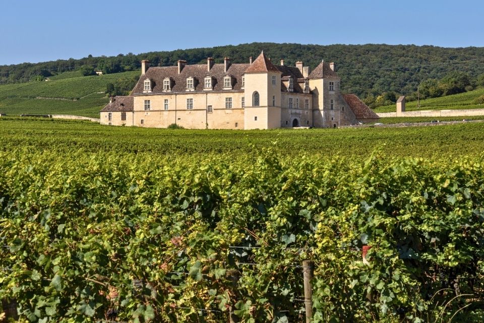 Clos de Veugeot